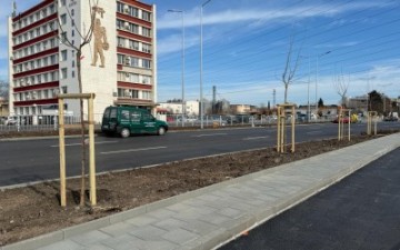 ЗАСАДИХА НАД 200 ДЪРВЕТА ПРИ ПЪРВИ И ВТОРИ ЕТАП ОТ РЕМОНТА НА „ОДРИН“